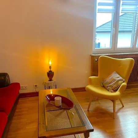 Relax, Entre Nature Et Centre-ville Apartment *